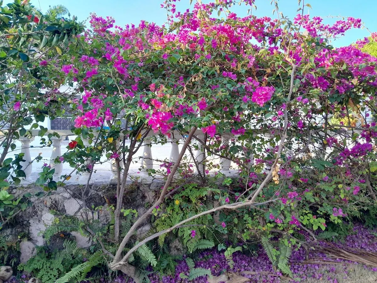 Villa Chinnor-Kent Ave Montego Bay