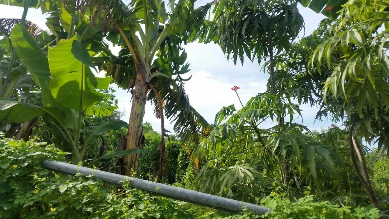 Villa Chinnor-Kent Ave Montego Bay
